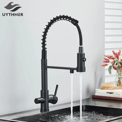 DecorBites™ Dual Spout Kitchen Water Filter Faucet with Rotation Water Purification Feature