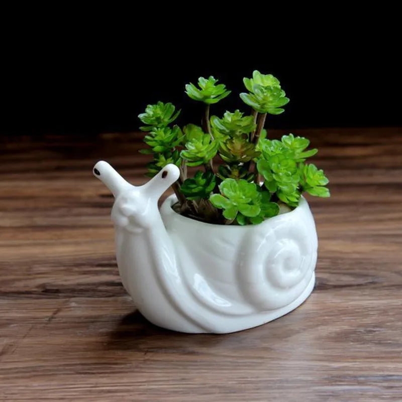 DecorBites™ Cartoon Snail Flower Vase Succulent Pot for Garden Decoration