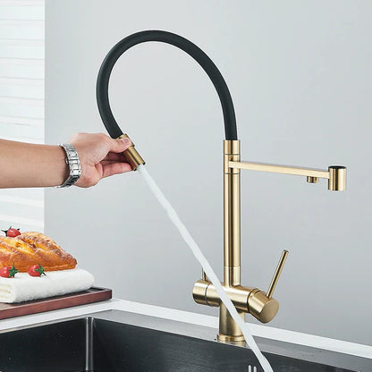 DecorBites™ Brushed Gold 360 Rotate Pull Out Kitchen Filter Faucet with Dual Handle