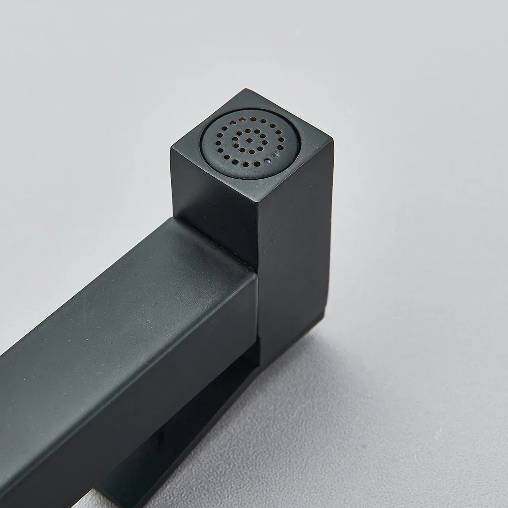 DecorBites™ Brass Bidet Faucet Single Cold Water Black Toilet Sprayer Valve Jet Set