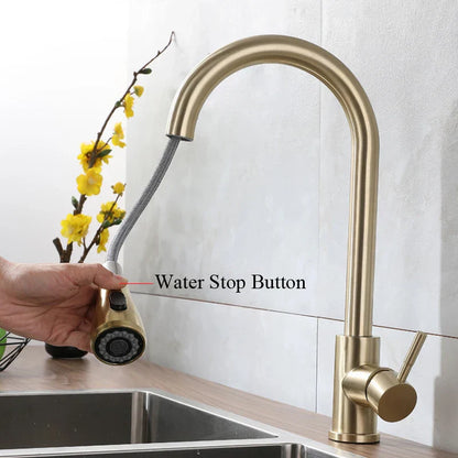 Grifo de cocina extraíble monomando DecorBites™ en oro cepillado