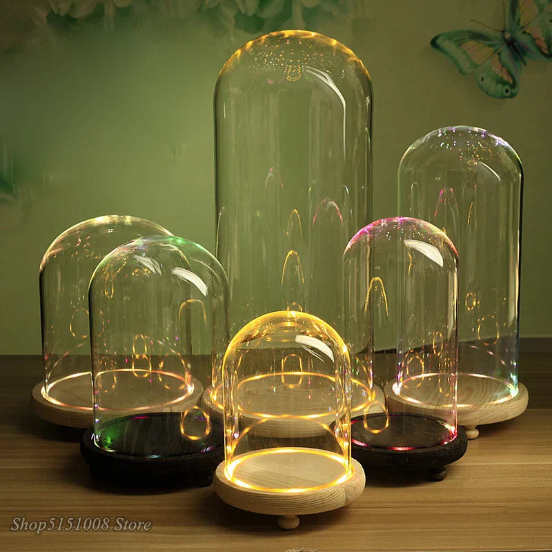 DecorBites™ Glass Dome Night Light with Dry Flower Ornaments on Wood Base