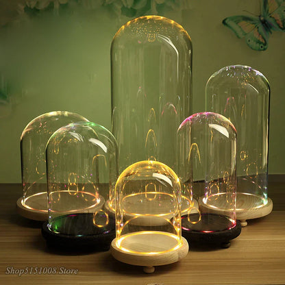 DecorBites™ Glass Dome Night Light with Dry Flower Ornaments on Wood Base