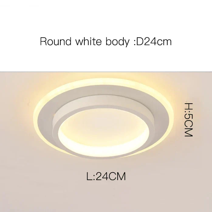 Modern Aisle Ceiling Light