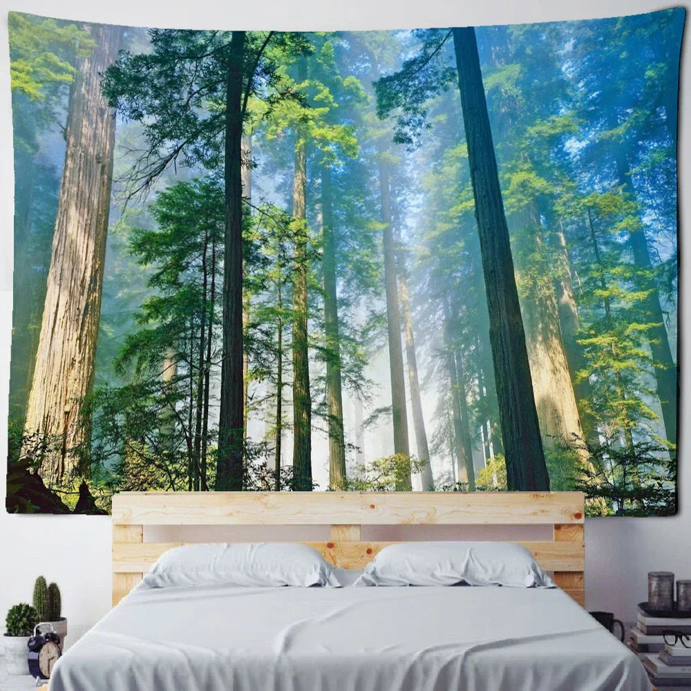 Fog Forest Sunlight Tapestry: Decobites Natural Scenery Aesthetic Wall Hanging