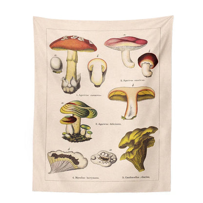 Decobites Mushroom Identification Chart Wall Art - Mycology Champignon Illustration Boho Decor