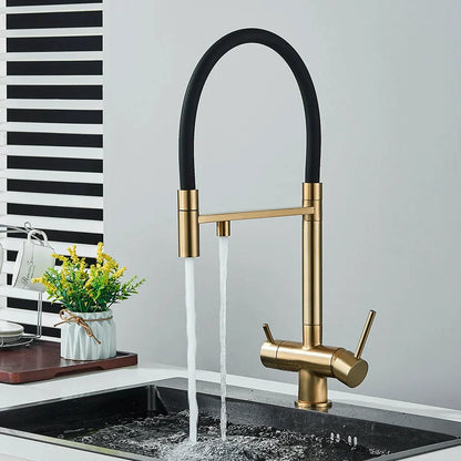 Decorbites™ Küchen-Wasserfilterarmatur mit doppeltem Auslauf, drehbarer Wasserreinigungs-Mischhahn
