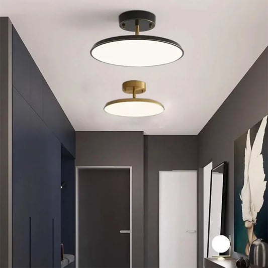 Modern LED Ceiling Light Minimalist Black Gold Rotatable Copper Lamps For Bedroom Living Room Entrance Hall Hallway Illumination