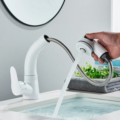 Grifo de lavabo DecorBites™ con elevación, acabado cromado y mezclador de agua giratorio de 360 ​​grados.