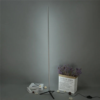 DecorBites™ Gold LED Floor Lamp Minimalist Modern Design for Living Room & Bedroom