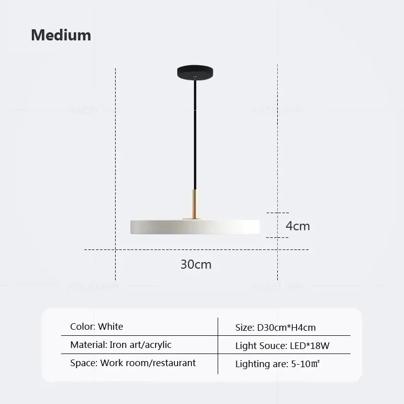 DecorBites™ LED Pendant Light: Iron, Black, White, Blue, Dining, Bedroom, Living, Study, Indoor.