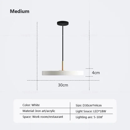 DecorBites™ LED Pendant Light: Iron, Black, White, Blue, Dining, Bedroom, Living, Study, Indoor.