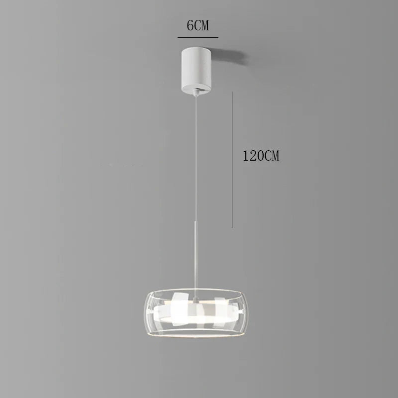 Modern Glass Ring Pendant Light in Iron