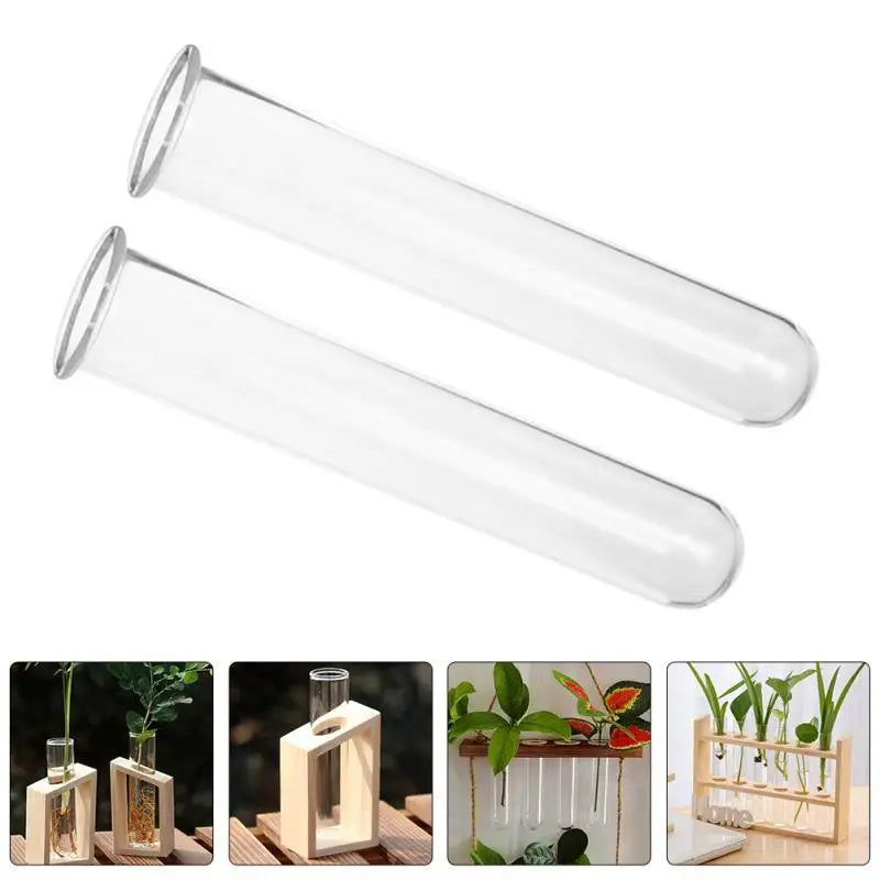 Clear Glass Test Tube Vases for Plants