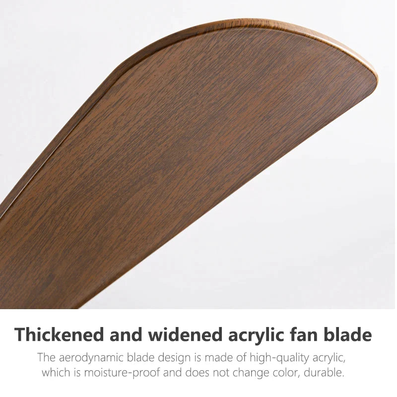 Ventilador de techo DecorBites™ con motor DC negro y control remoto de 35 W para hogar y restaurante