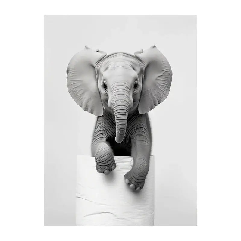 DecorBites™ Funny Animals Canvas Wall Art for Bathroom Home