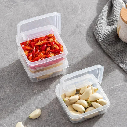 DecorBites™ Japanese Flip-Top Refrigerator Storage Box for Butter, Cheese Slices, and Spices