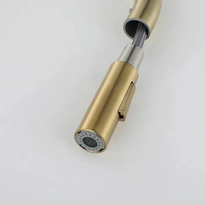 DecorBites™ Brushed Gold Pull Out Kitchen Faucet Luxury Black Sink Tap Kitchen Mixer