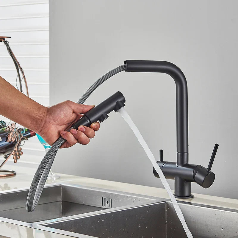 DecorBites™ Kitchen Faucet with Water Filter Tap and Dual Sprayer