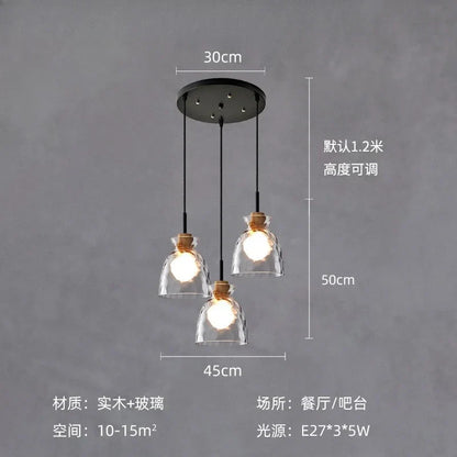 DecorBites™ Clear Glass Pendant Lamp with LED Lights for Home Decor