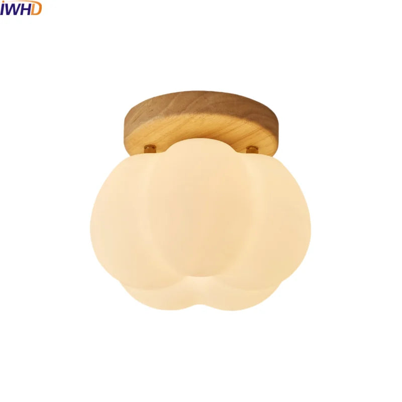 DecorBites™ LED Modern Ceiling Light for Living Room Balcony, Nordic Style Indoor Lighting Fixtures