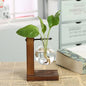 SMHXIANGQIAN Glass Hydroponic Plant Vase