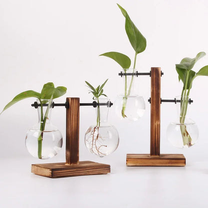 SMHXIANGQIAN Glass Hydroponic Plant Vase