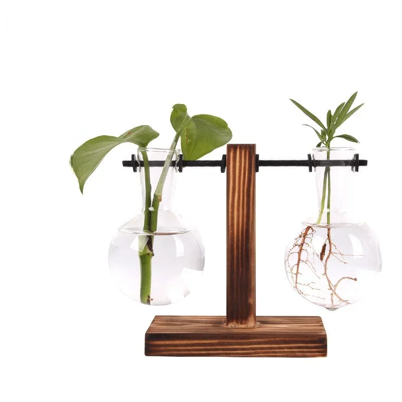 SMHXIANGQIAN Glass Hydroponic Plant Vase