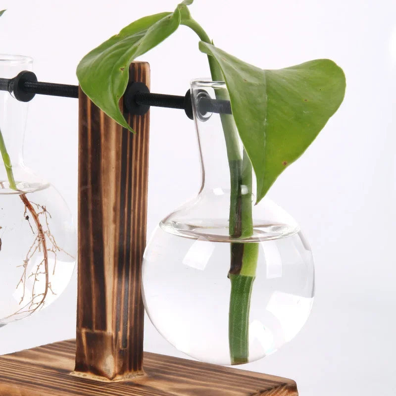 SMHXIANGQIAN Glass Hydroponic Plant Vase