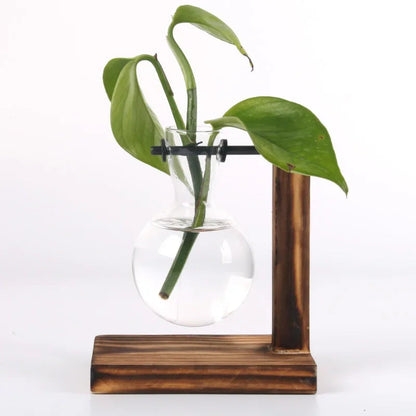 SMHXIANGQIAN Glass Hydroponic Plant Vase