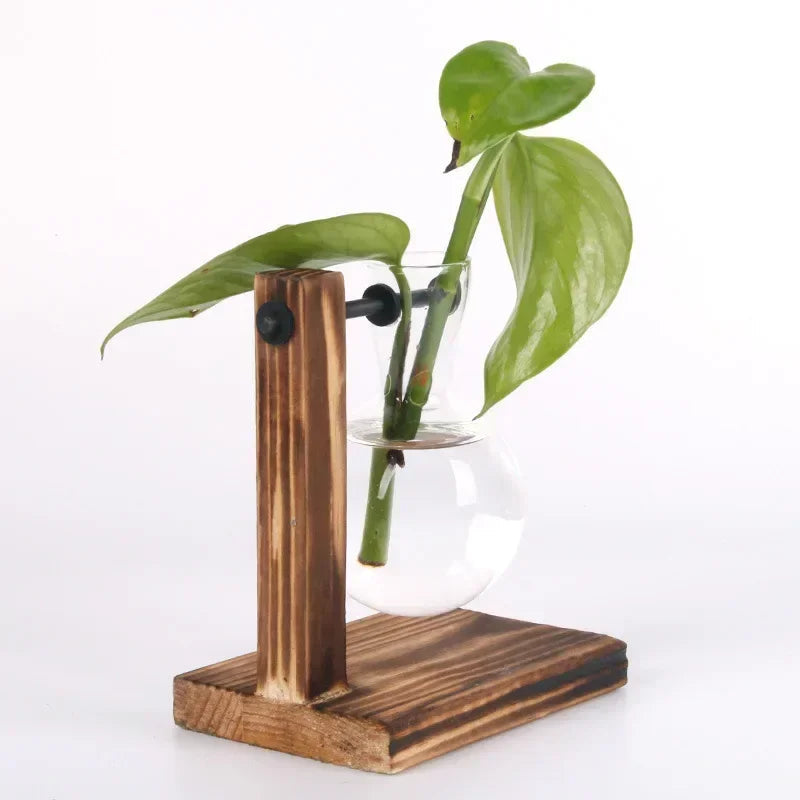 SMHXIANGQIAN Glass Hydroponic Plant Vase