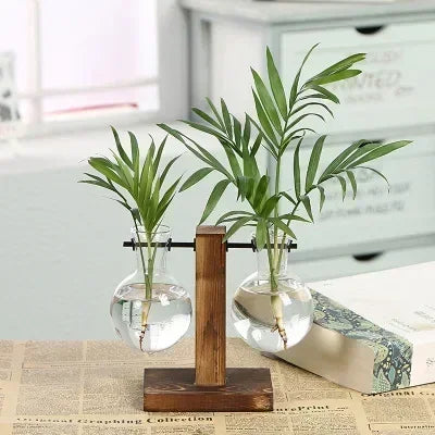 SMHXIANGQIAN Glass Hydroponic Plant Vase