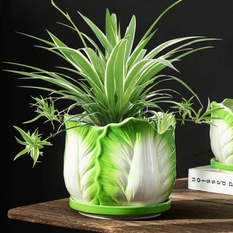 DecorBites™ Cabbage Flowerpot with Tray | Creative Cartoon Vegetable Basin | Indoor Garden Flower Vase