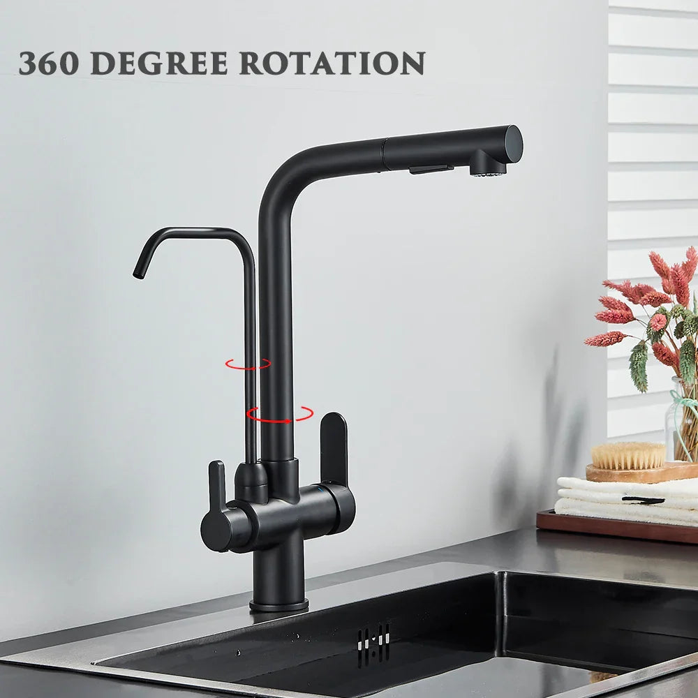 DecorBites™ Black 2-in-1 Purification Kitchen Faucet with Flexible Pull Out Nozzle