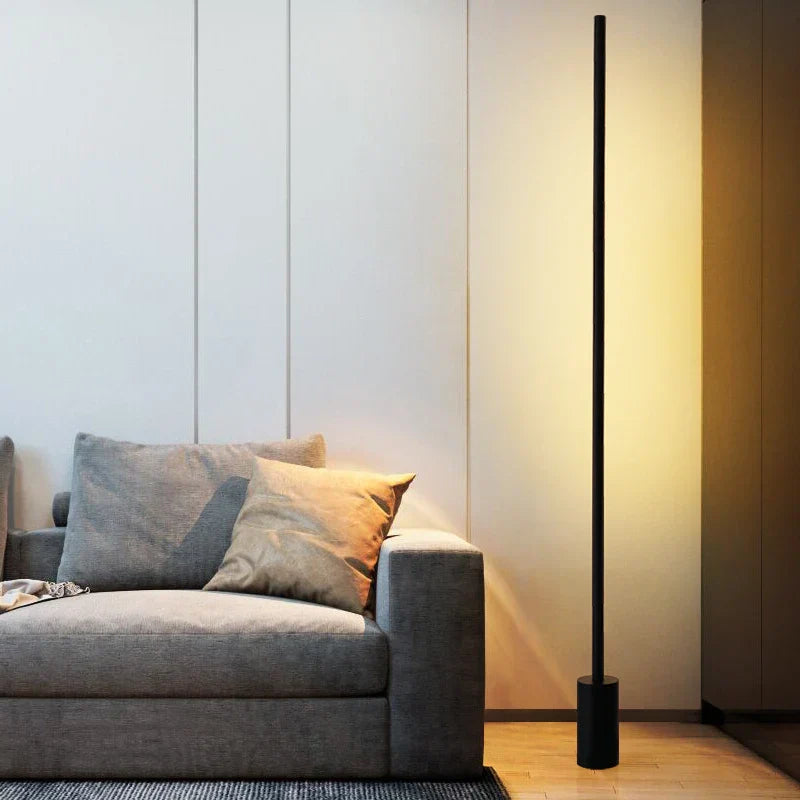 Iron Modern Floor Lamp Painted Black Finish