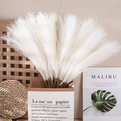 DecorBites™ Fluffy Pampas Grass Boho Decor Pampas Grass.