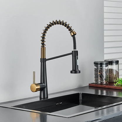 DecorBites™ Black Gold Kitchen Faucet with Pull Down Sprayer