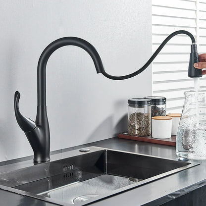 DecorBites™ Kitchen Faucet: Chrome/Black Pull Out Mixer with 2 Function Spout