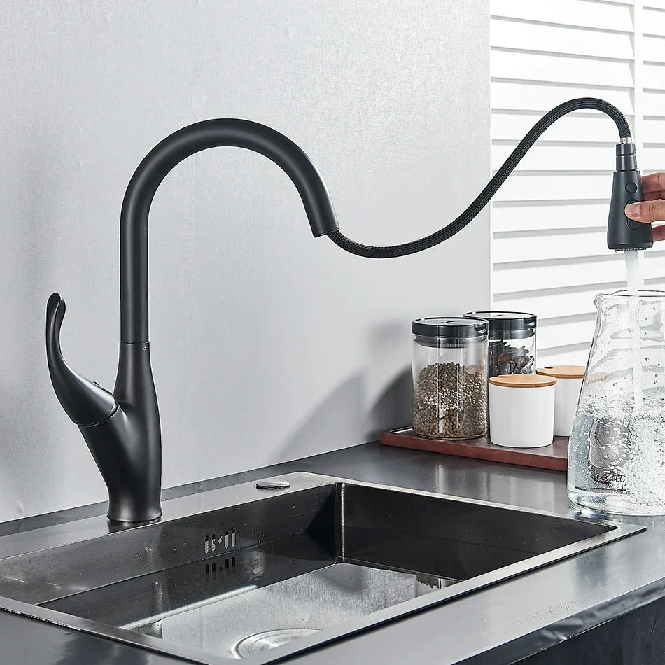 Grifo de cocina Decorbites™: Mezclador extraíble en cromo/negro con caño de 2 funciones
