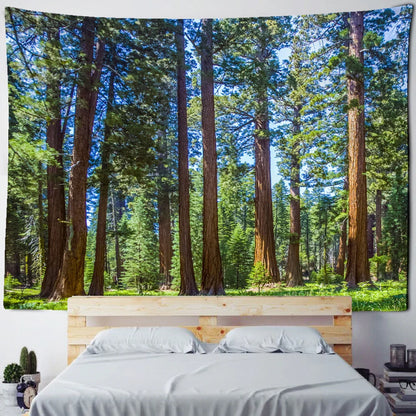 Fog Forest Sunlight Tapestry: Decobites Natural Scenery Aesthetic Wall Hanging