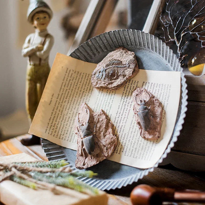 DecorBites™ Fossil Series Art Refrigerator Stickers: Fish Bone Beetle Marine Insect Specimen