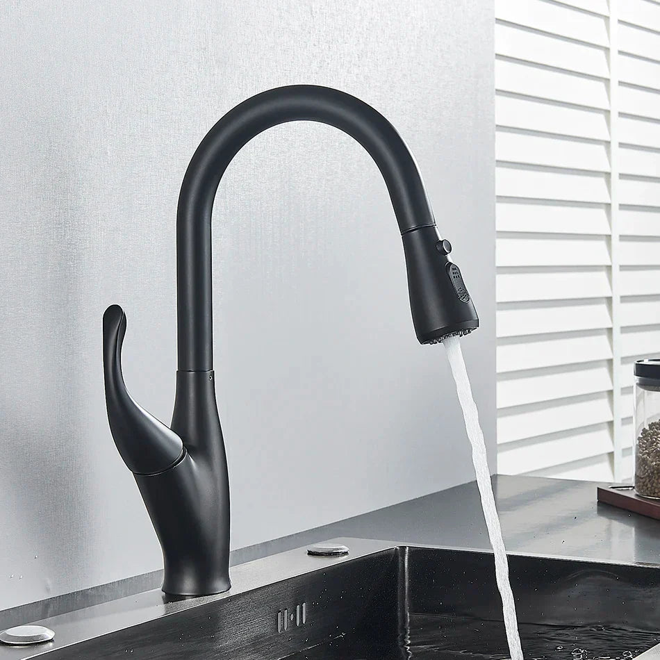 DecorBites™ Kitchen Faucet: Chrome/Black Pull Out Mixer with 2 Function Spout