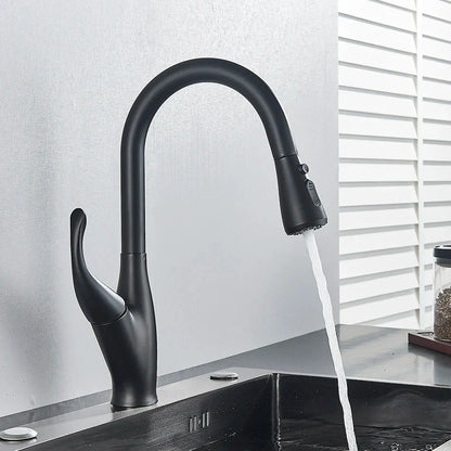 DecorBites™ Kitchen Faucet: Chrome/Black Pull Out Mixer with 2 Function Spout