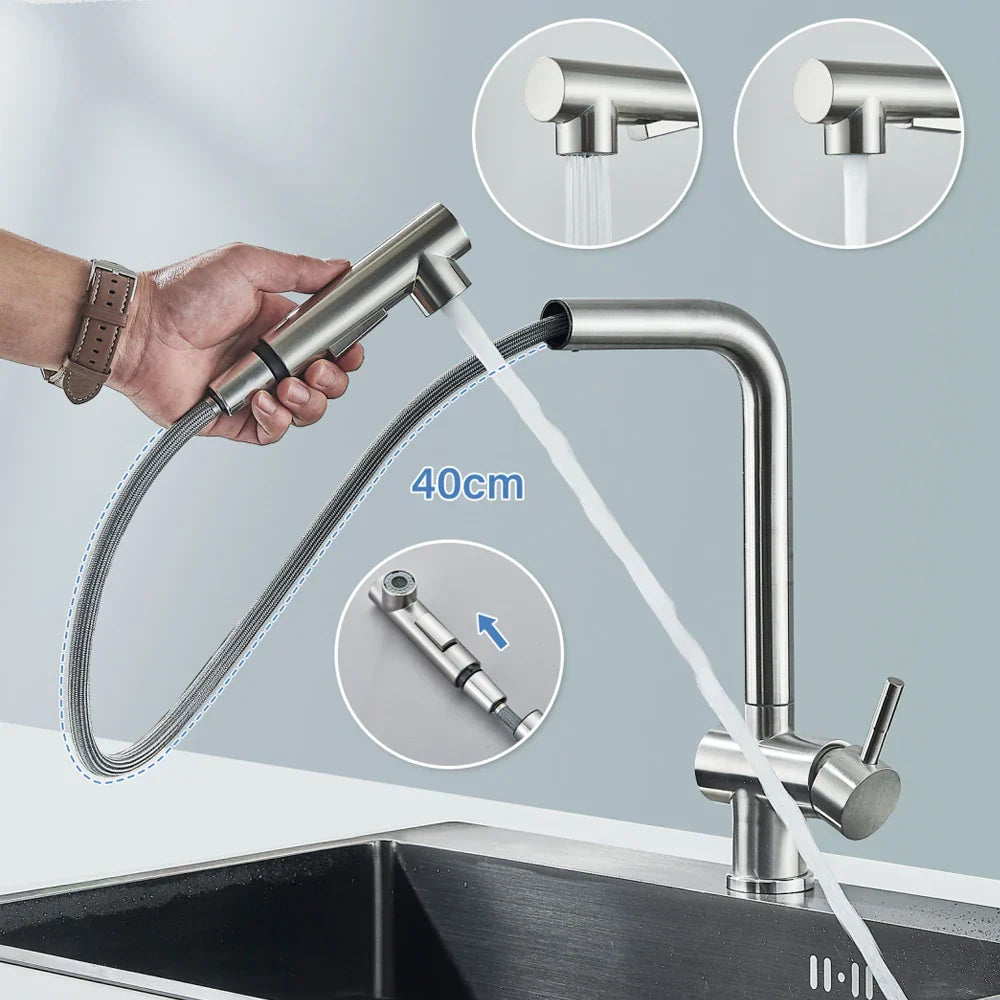 DecorBites™ Brushed Nickel Kitchen Faucet with Dual Spray Nozzle
