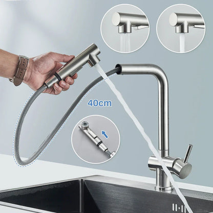DecorBites™ Brushed Nickel Kitchen Faucet with Dual Spray Nozzle
