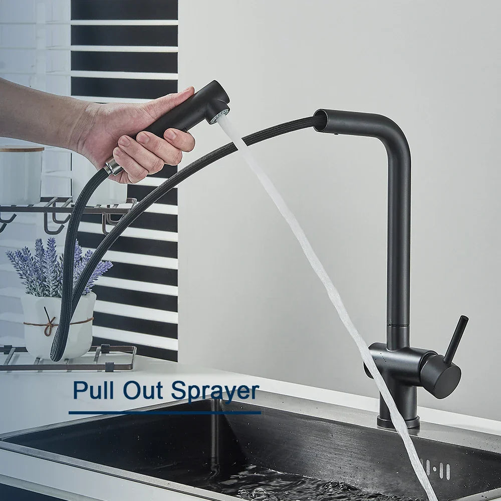 DecorBites™ Black Gourmet Kitchen Faucet with Flexible Sprayer and Dual Nozzle