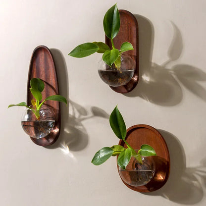 DecorBites™ Glass Vase Flowerpot Wall Decoration for Home Décor and Hydroponics