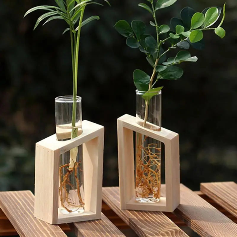 Clear Glass Test Tube Vases for Plants