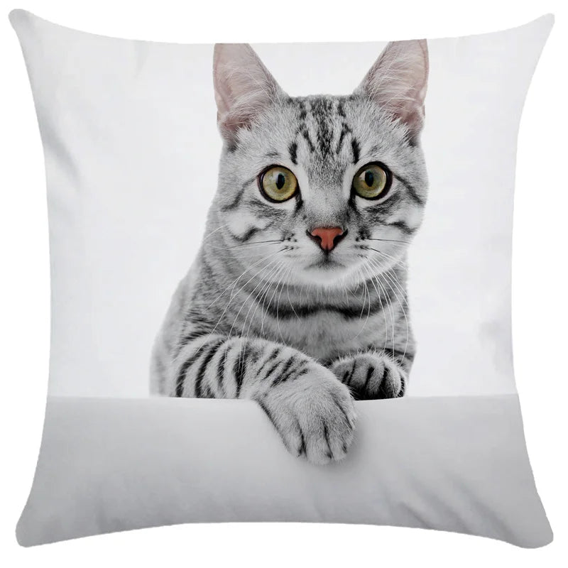 DecorBites™ Bubble Black Cats Cat Pillow Cases Sofa Home Decor Custom Cushion Cover