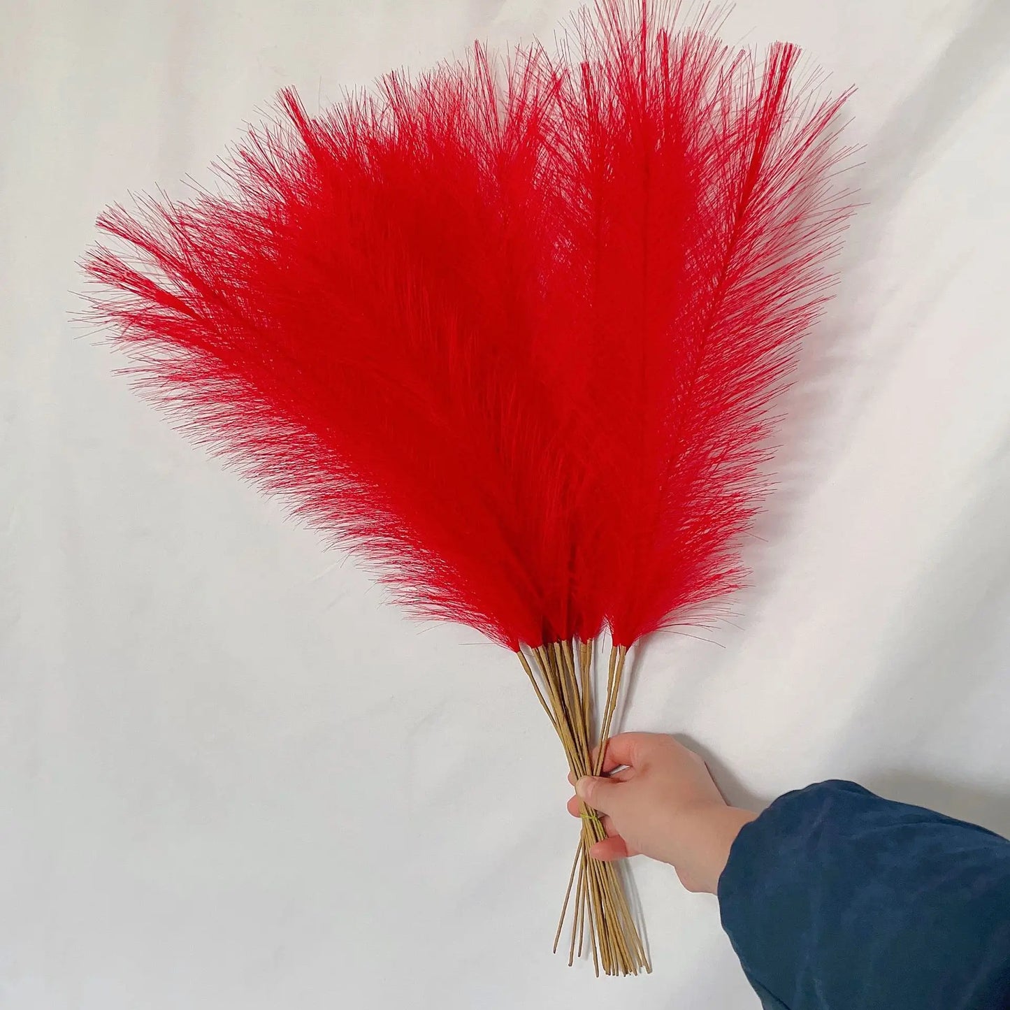 DecorBites™ Fluffy Pampas Grass Boho Decor Pampas Grass.